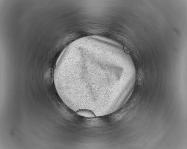 X0000111040428200907161348