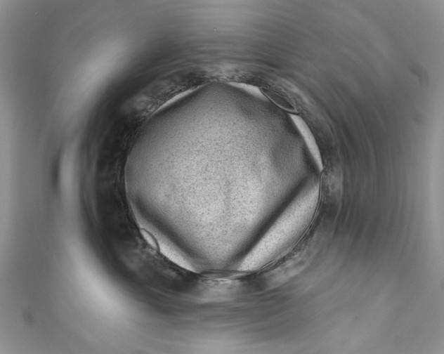 X0000111040429200907161348