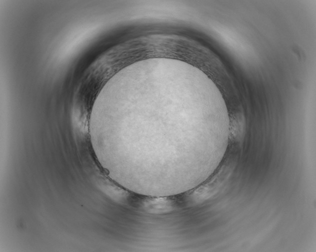 X0000111040431200907161348