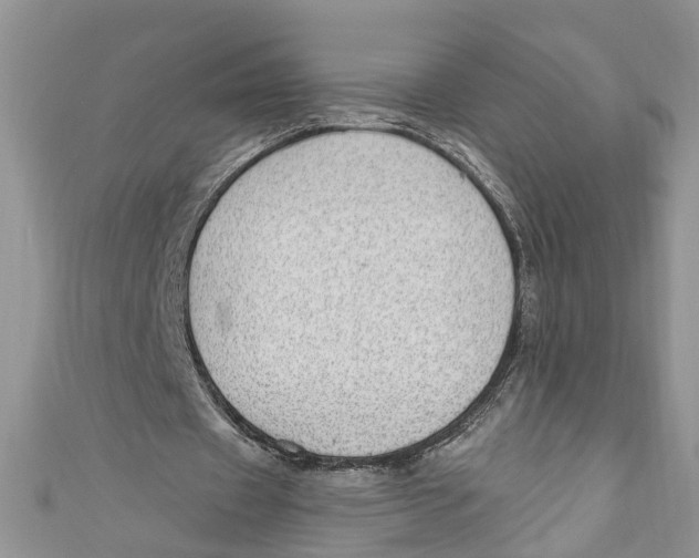 X0000111040433200907161348