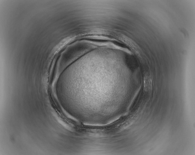 X0000111040436200907161348