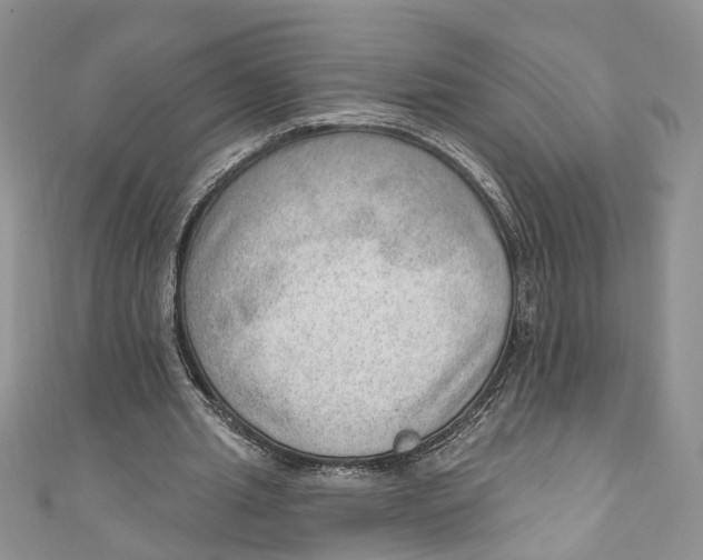 X0000111040437200907161348