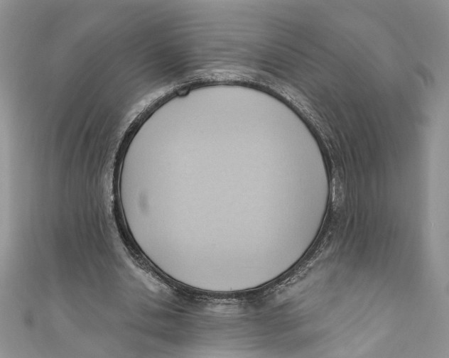 X0000111040438200907161348