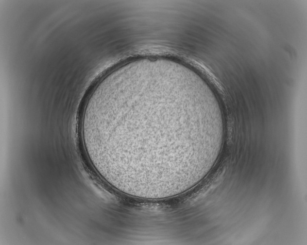 X0000111040439200907161348