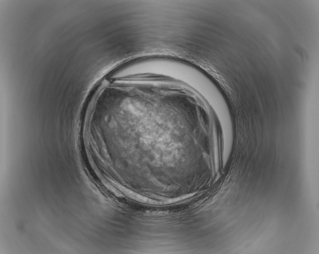 X0000111040440200907161348