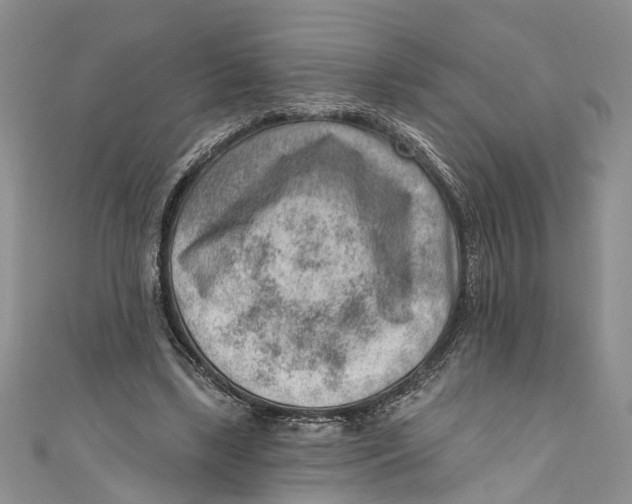 X0000111040443200907161348