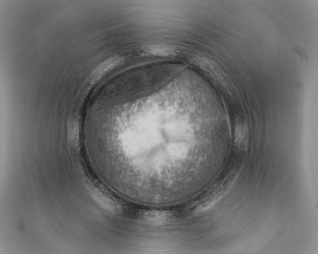 X0000111040444200907161348