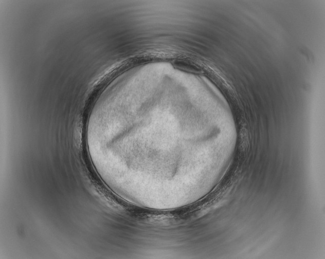 X0000111040446200907161348