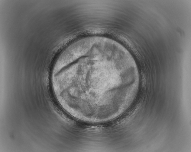 X0000111040447200907161348