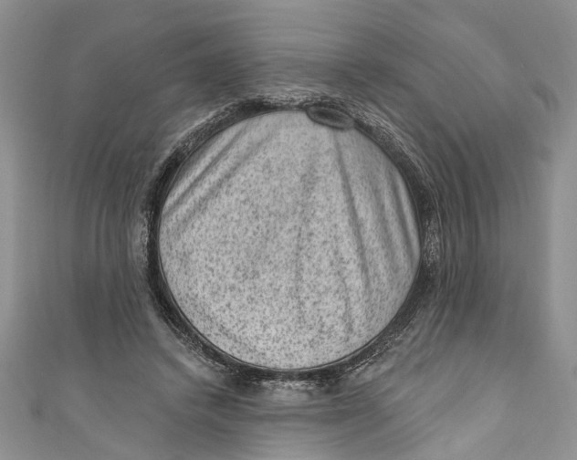 X0000111040448200907161348