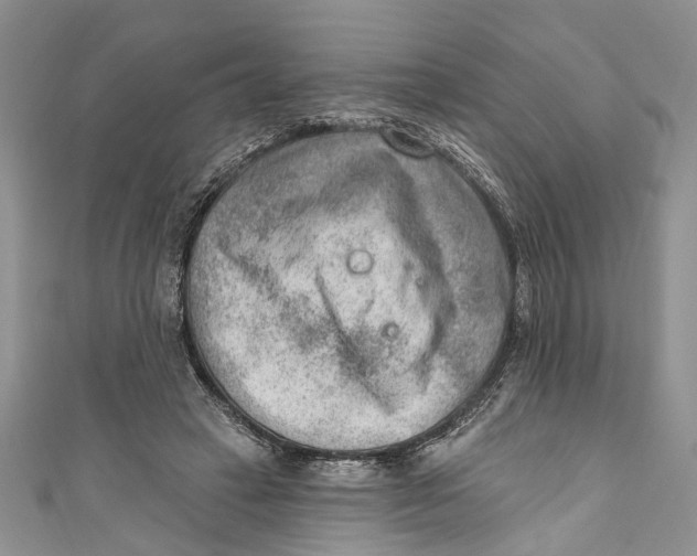 X0000111040449200907161348