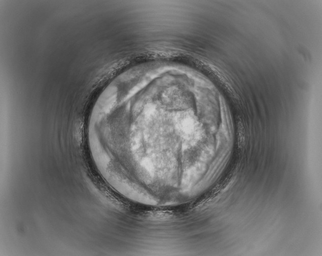 X0000111040451200907161348