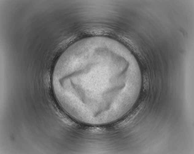 X0000111040453200907161348