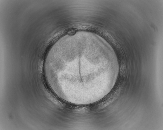 X0000111040454200907161348