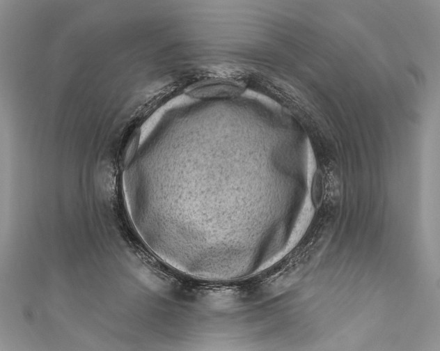 X0000111040456200907161348