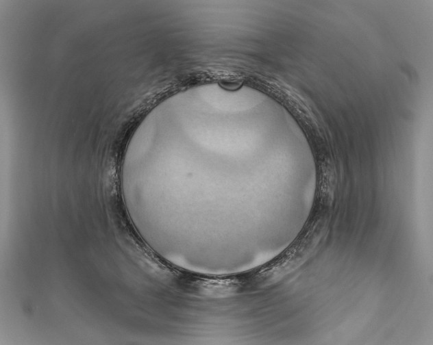 X0000111040465200907161348