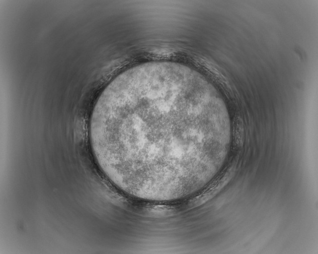 X0000111040467200907161348