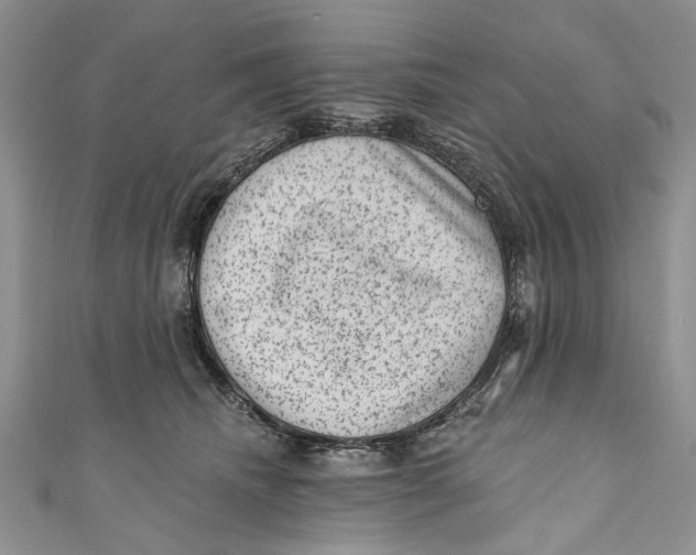 X0000111040468200907161348