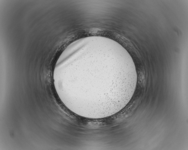 X0000111040470200907161348