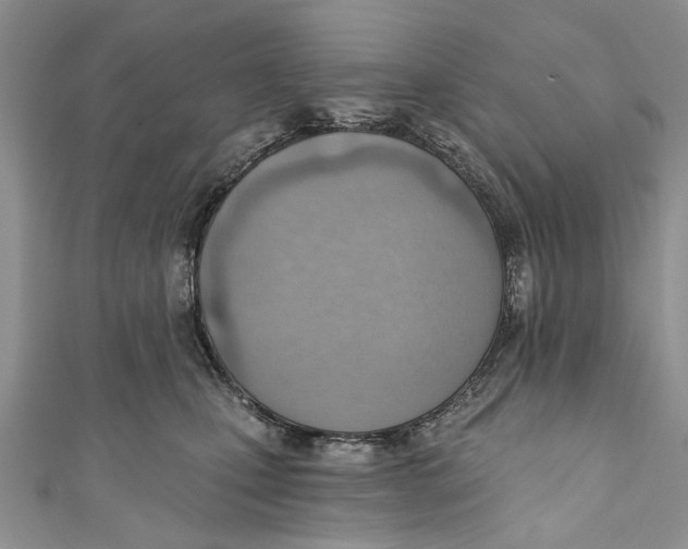 X0000111040471200907161348