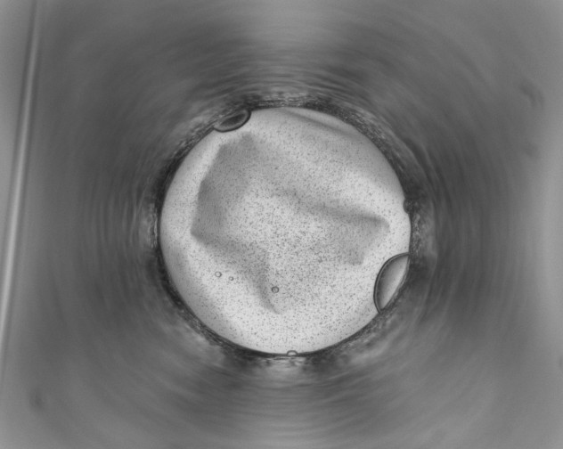 X0000111040474200907161348