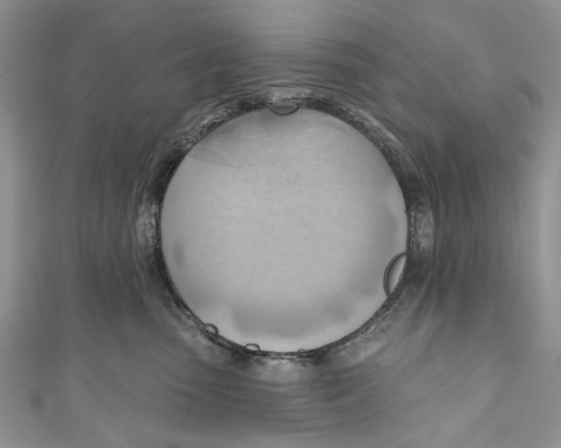 X0000111040475200907161348