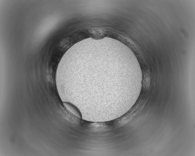 X0000111040477200907161348