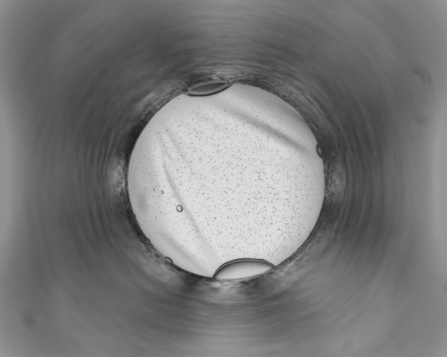 X0000111040478200907161348