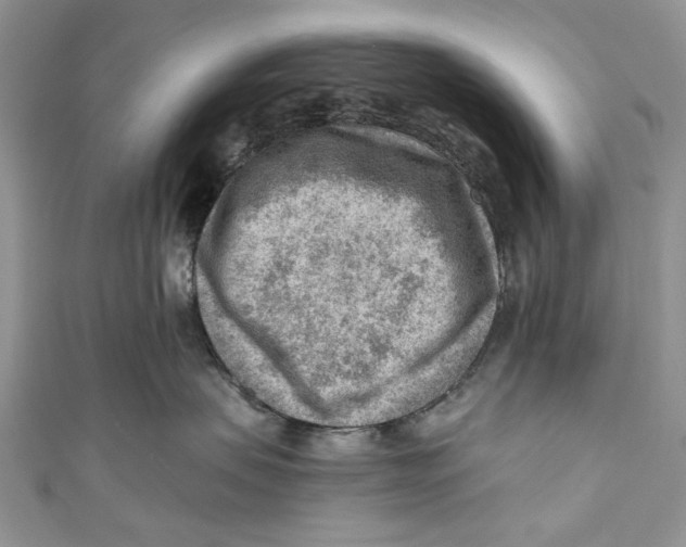 X0000111040479200907161348