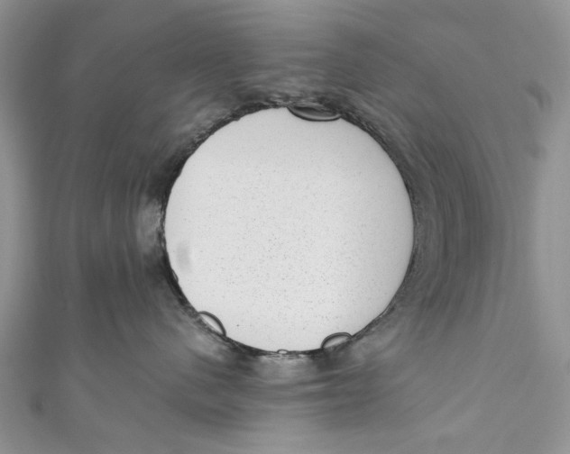 X0000111040480200907161348