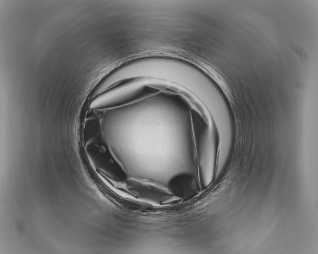 X0000111040485200907161348