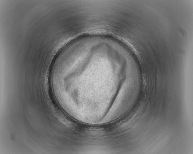 X0000111040487200907161348