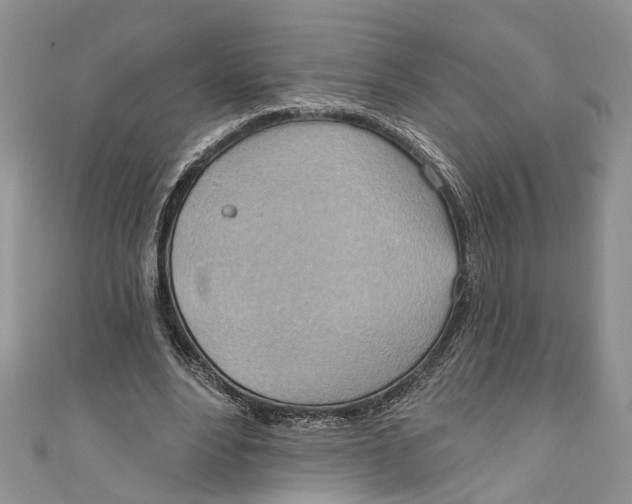 X0000111040488200907161348