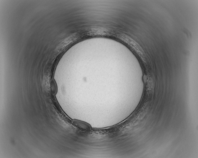 X0000111040489200907161348