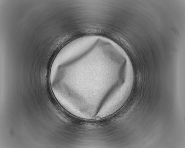 X0000111040490200907161348