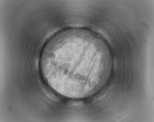 X0000111040491200907161348