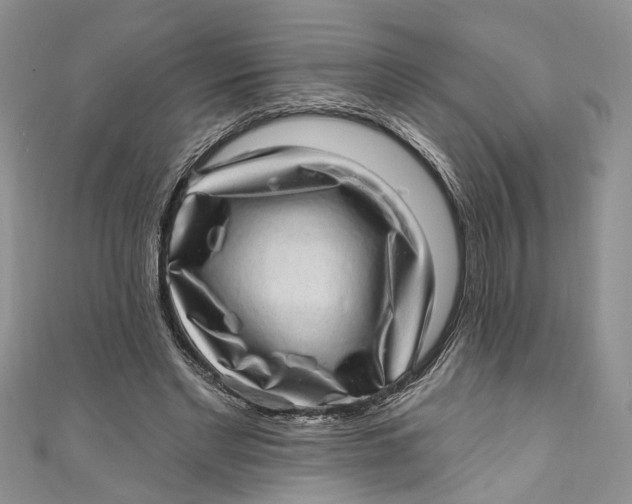 X0000111040493200907161348