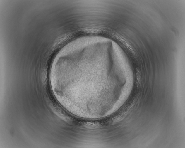 X0000111040494200907161348