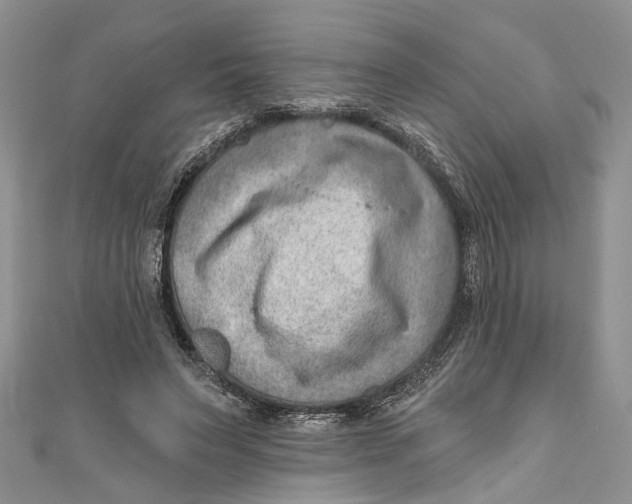 X0000111040495200907161348