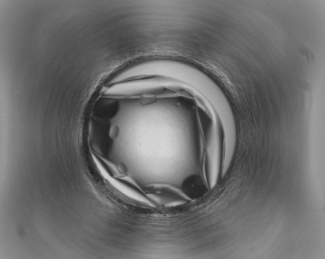 X0000111040496200907161348