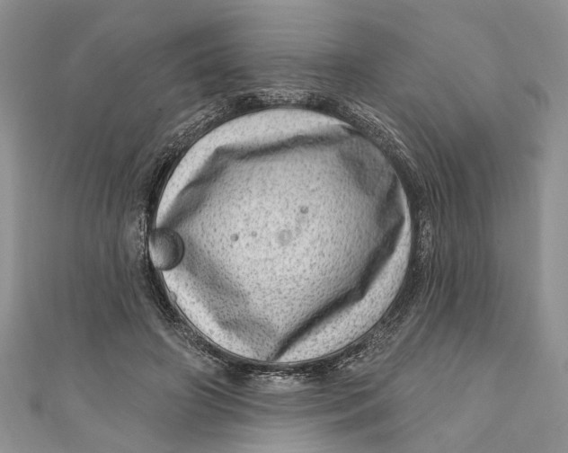 X0000111040498200907161348