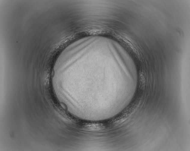 X0000111040499200907161348