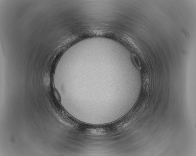 X0000111040500200907161348