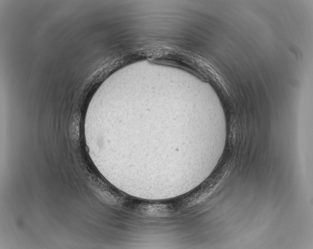 X0000111040501200907161348