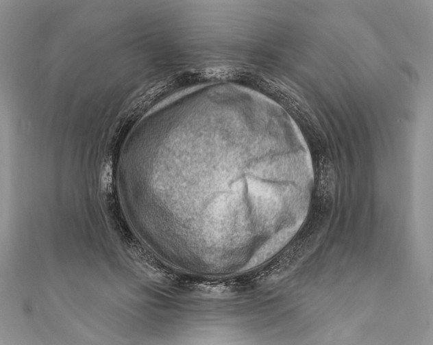 X0000111040502200907161348