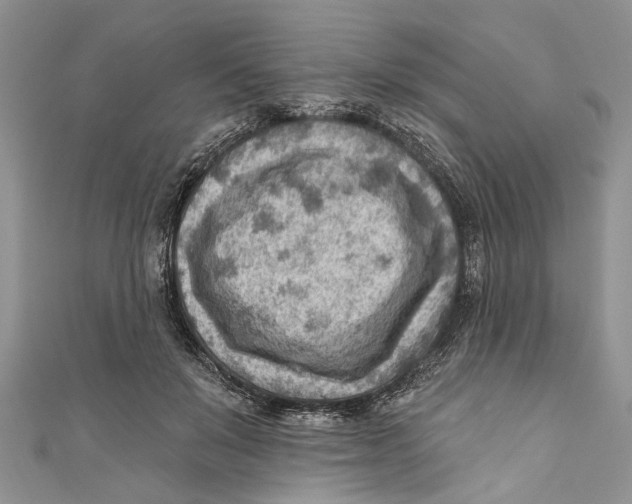 X0000111040503200907161348