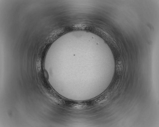 X0000111040504200907161348