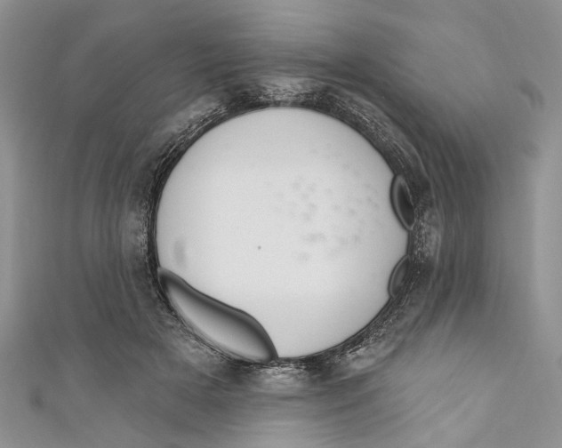 X0000111040505200907161347