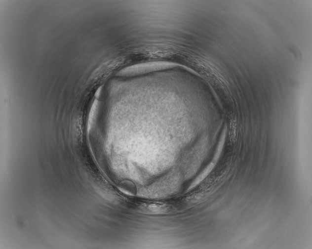 X0000111040506200907161347