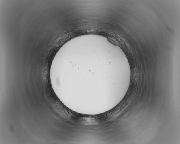 X0000111040509200907161347